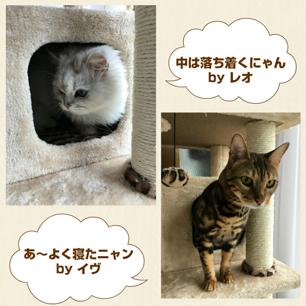 キャットタワー 据え置き スリム 猫タワー 省スペース 多頭飼い 爪とぎ ヒョウ柄 置き型 Ctb 1be キャットタワー Leopard House