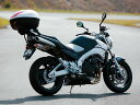 デイトナ GIVI SR116M スペシャルキャリア 94043