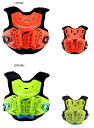 超ポイントバック祭!エントリーと期間合計購入金額に応じてポイント最大5倍!! Leatt Brace (リアットブレース) 2.5 ブレストガード (チェストプ...