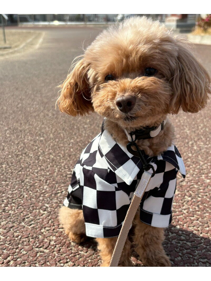 Rakuten - 【PET】ブロックチェックシャツ LEPSIM レプシィム ペット用品 ペットウェア・ペット服 ブラック グリーン【送料無料】[Rakuten Fashion]
