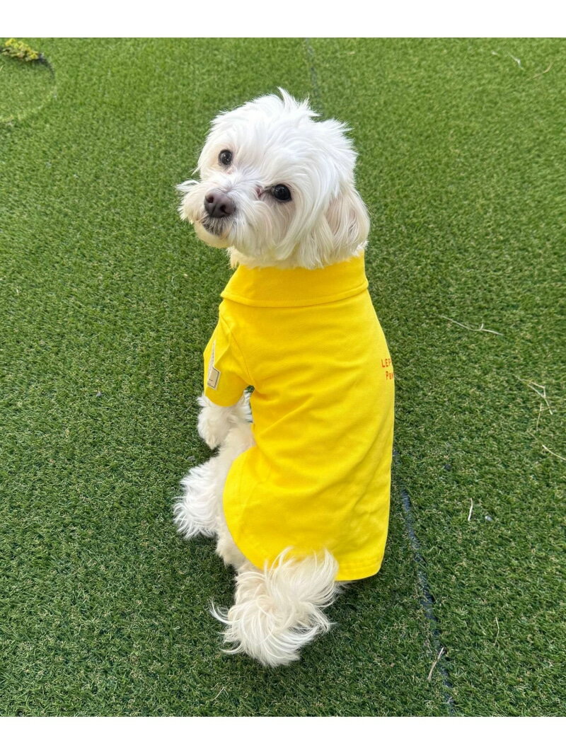 Rakuten - 【PET】カラーポロシャツ LEPSIM レプシィム ペット用品 ペットウェア・ペット服 ブルー オレンジ イエロー【送料無料】[Rakuten Fashion]