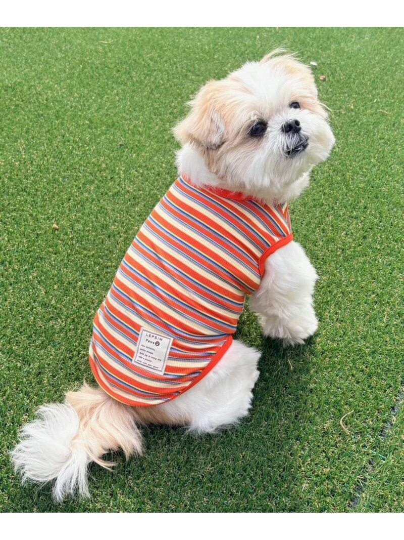 【PET】マルチボーダーノースリ LEPSIM レプシィム ペット用品 ペットウェア・ペット服 ブルー オレンジ【送料無料】[Rakuten Fashion]