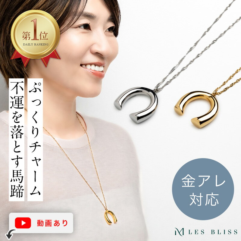 ホースシューネックレス 楽天ランキング1位 ステンレス スクリューチェーン レディース アクセサリー ジュエリー シンプル 上品 ギフト プレゼント カジュアル 高品質 モチーフ 誕生日