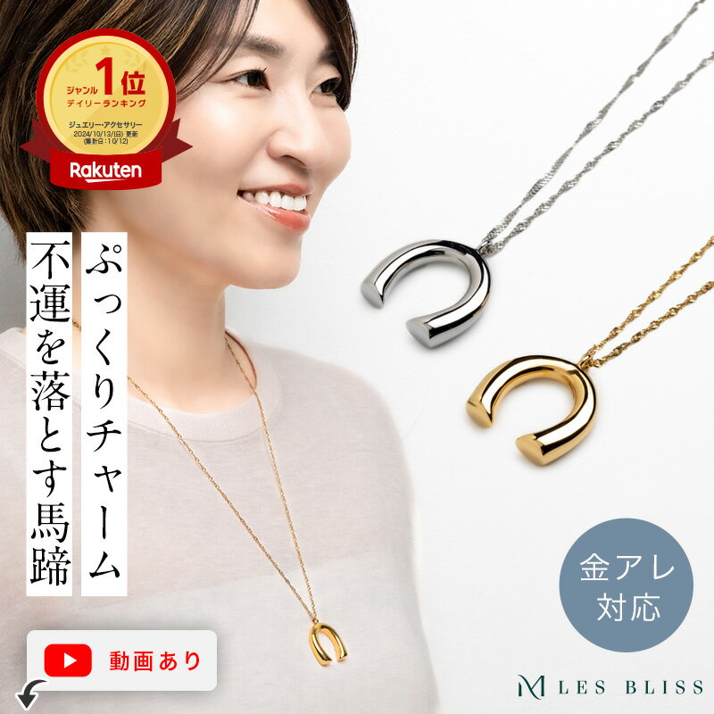 ホースシューネックレス ネックレス ホースシュー 馬蹄 金属アレルギー 金アレ ゴールド シルバー ロングネックレス 大ぶり 幸運 大人 ..