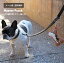 【 ワゴンセール 10800円→8900円 】 犬のマナー袋入れ 本革 ハラコ ケース 骨のかたちドイツ【 メール便 送料無料 】マナーポーチ ハラコ ポーチ 犬 男性 メンズ 犬グッズ 送料込 送料込み アウトレット