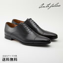 【全品ポイント10倍 4/29 9:59迄】【公式】CENTO FELINA チェントフェリーナ 内羽根 ストレートチップ 3E 革靴 レザー ブラック マッケイ 黒 BLACK 1617 日本 靴 メンズ靴 ビジネスシューズ サイズ 23.5 - 27.0cm 【あす楽】