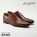 【全品ポイント10倍 4/29 9:59迄】【公式】CENTO FELINA チェントフェリーナ 内羽根 ストレートチップ 3E 革靴 レザー ブラウン マッケイ 茶 BROWN 1617 日本 靴 メンズ靴 ビジネスシューズ サイズ 23.5 - 27.0cm 【あす楽】