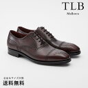 【全品ポイント10倍 4/29 9:59迄】【公式】TLB Mallorca ティーエルビー レースアップ セミブローグ 革靴 ミュージアムカーフ ワイン グットイヤーウェルト 赤 WINE 55501 スペイン 靴 メンズ靴 ビジネスシューズ サイズ 24.0 - 26.5cm 【あす楽】