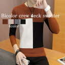 スーパーセール タイムセール SALE セーター メンズ バイカラークルーネックセーター おしゃれ フリース 春 リブ チェック ニット サイズ Vネック クル...