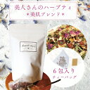 【美人さんのハーブティー(ティーパック)】《美肌 ブレンド》6包入 ティーバッグ ローズヒップ ローズピンク ハイビスカス ヒース アップルフルーツ レモンバーム パウチ 女性 フルーティー お茶 携帯 パウチ 習慣 デイリー