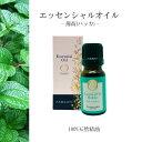 【天然薄荷(ハッカ) 】精油 10ml 箱付き 夏 冷感 爽やか 清涼感 リフレッシュ メントール アロマ 自然 エッセンシャルオイル 国産 ミント はっか マスク