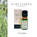 【ローズマリー】精油 10ml 箱付 爽やか さっぱり 朝用 リフレッシュ 集中 アロマ 自然 エッセンシャルオイル シンプル 単体 枝 葉