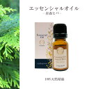 【青森ヒバ】精油 10ml 箱付 森林 フレッシュ リラックス 落ち着き 癒し アロマ 自然 天然 エッセンシャルオイル シンプル 単体 葉