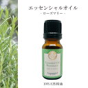 【ローズマリー】精油 10ml 爽やか さっぱり 朝用 リフレッシュ 集中 アロマ 自然 エッセンシャルオイル シンプル 単体 枝 葉