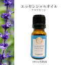 【クラリセージ】精油 10ml 青さ ビター 落ち着き 幸福感 癒し 女性 アロマ 自然 天然 エッセンシャルオイル シンプル 単体 葉 花