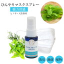 《 強力スースー》【 クールウッド 】20ml｜木の香り 天然薄荷 ひんやり 天然薄荷 ヒノキ ヒバ アロマ 強力 クール ミント 森林 冷却 清涼 消臭 静菌 鼻通し 精油 国産 ハッカ アロマ 花粉 秋 冬 夏 春 季節 受験 勉強 集中 リフレッシュ リラックス 気分転換