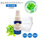 《 強力スースー》【 コールド ミント 】20ml｜天然薄荷 天然ハッカ ひんやり アロマ 強力 冷却 清涼 消臭 除菌 鼻通し 精油 国産 ハッカ エッセンシャルオイル 花粉 受験 勉強 集中 リフレッシュ リラックス 気分転換