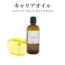 【スイートアーモンド キャリアオイル】マッサージ アロマ 植物性 100ml サロン スキンケア ロールオン フェイシャル フット アロマテラピー