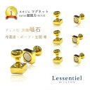 超強力【 mini ネオジム 磁石 】印鑑 型 金色 6個入 マグネット 小型 耐久 キッチン 冷蔵庫 壁掛け 玄関 キー 鍵 ボード 会議 店舗 インテリア 可愛い 写真 オフィス