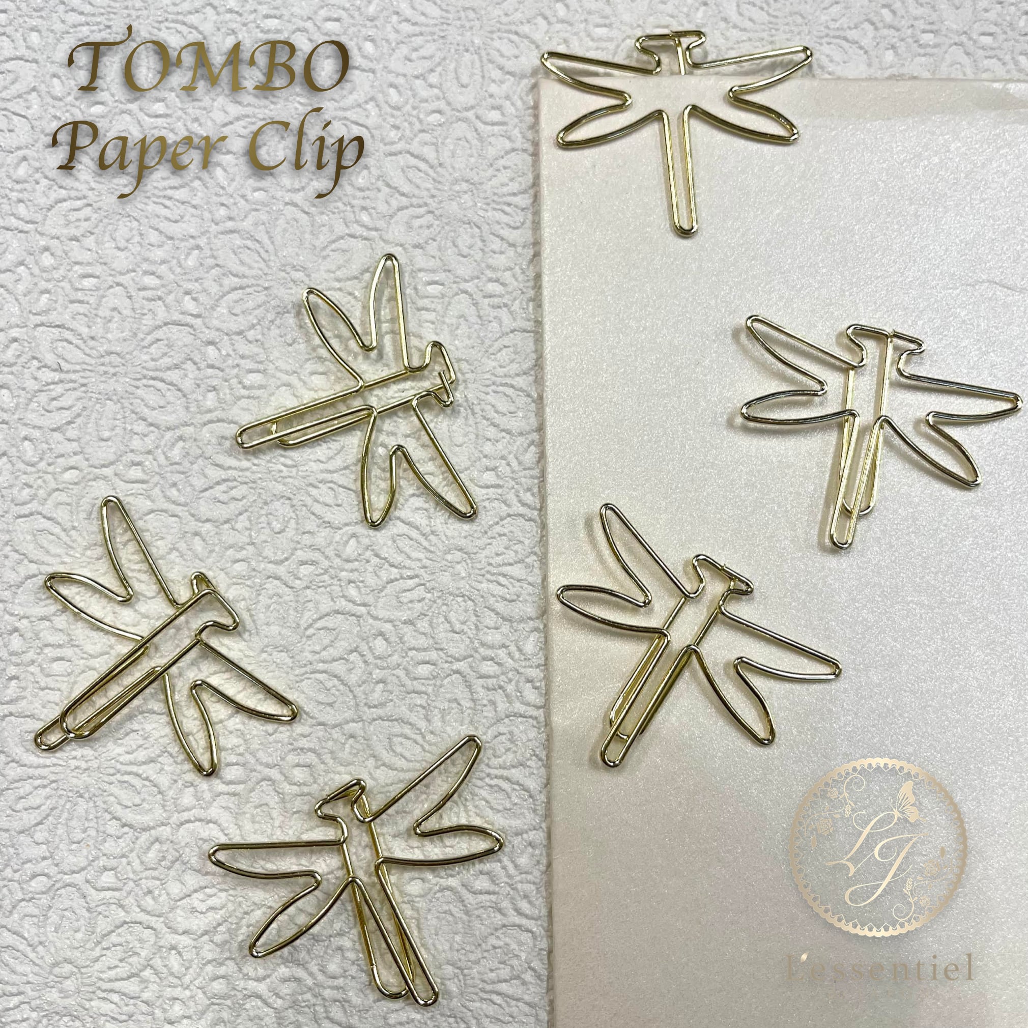  ȥ å ۥ 6 ᥿ 顼  ٤  Ҷ ޯ ե ʸ˼ ɮѶ A4  ڡѡ ǥ   ...