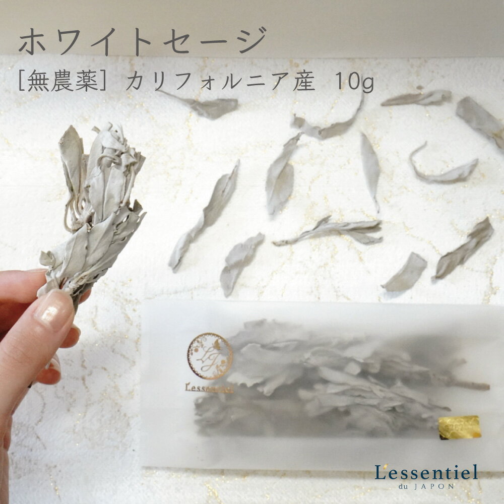 【 ホワイト・セージ 】10g サルビア