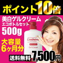 P10倍 7500円 送料無料 レステモ 美白ゲルクリーム シルク姉愛用 500gボトル付 化粧水 乳液 美容液 クリーム 化粧下地 が オールインワン シミ ゲルクリーム 乾燥肌 低刺激 保湿 美白 オールインワン ゲル しみ 医薬部外品 スキンケア ジェル オールインワンジェル 小じわ