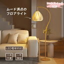 【全品15%OFFクーポン!】【WEB限定】フロアライト フロアスタンド フットスイッチ付 おしゃれ 1灯 フロアランプ LED対応 間接照明 北欧 スタンドライト 寝室 リビング モダン 乙女心軽量 アーチ型 ロマンチック かわいい カフェ風 シェードランプ ベッドサイド