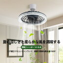 シーリングファン シーリングライト おしゃれ 調光扇風機 LED ファン 小型 玄関 引っ掛け おしゃれ 調光調色 リモコン付 APP対応 照明 無段階調光 3...