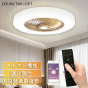 シーリングファン シーリングライト おしゃれ 調光扇風機 LED ファン 小型 玄関 引っ掛け おしゃれ 調光調色 リモコン付 APP対応 照明 無段階調光 3...