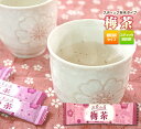 【送料無料】粉末茶「梅茶」20P入　