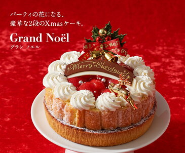 ≪11/16 9:59まで早期特典ポイント8倍≫ クリスマスケーキ 予約 2019 ルタオ【グラン ノエル 5号(直径約15cm)】Xmasケーキ 数量限定 苺 イチゴ ラズベリー 2段ケーキ スイーツ タルト Xmas クリスマス ギフト プレゼント 北海道 贈り物 お取り寄せ LeTAO