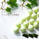 【公式】 母の日 チョコ チョコレート ルタオ LeTAO 【 レアチョコレート ナイアガラ 3箱セット 】 ギフト お菓子 誕生日プレゼント 出産内祝い 内祝い 誕生日 お取り寄せ 北海道 還暦祝い 2024 2