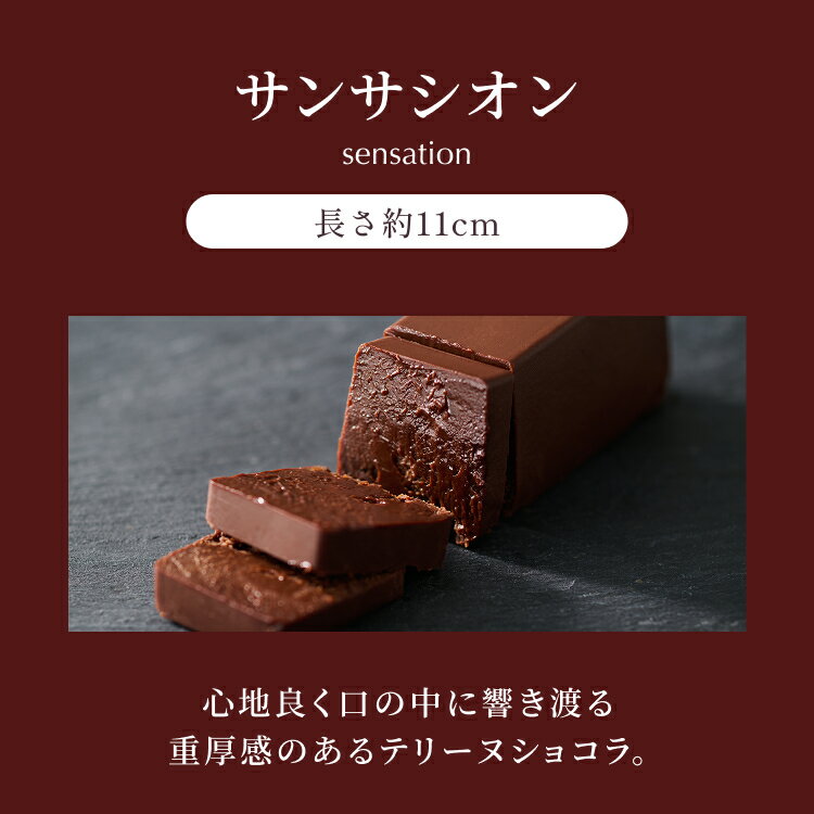 ルタオ LeTAO バレンタイン 2026 チョコケーキ チョコレートケーキ テリーヌ テリーヌショコラ チョコテリーヌ ガトーショコラ ケーキ 誕生日ケーキ スイーツ 洋菓子 プレゼント ギフト 誕生日 内祝い お取り寄せ 北海道 サンサシオン 送料込み