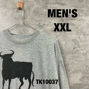 【中古】メンズ ライトグレー Tシャツ 半袖 XXL コスタ・デル・ソル エスパーニャ 夏服 クルーネック コットン スペイン 古着 TK10037