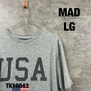 【中古】MAD マッド ENGINE グレー クルーネック Tシャツ 半袖 夏服 メンズ LG ビックプリント 星条旗 RN0101531 古着 TK10043