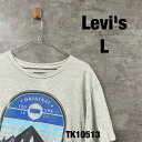 【中古】Lサイズ Levi's Tシャツ グレー 半袖 クルーネック メンズ プリントデザイン マウンテン ビッグロゴ リーバイス 古着 TK10513
