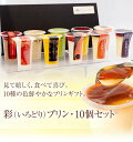 プレミアム プリン　彩（いろどり）プリン10個セット　95ml/1個　お祝い　ギフト　お中元　お歳暮　内祝い