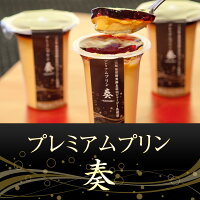 プレミアムプリン奏〜KANADE〜