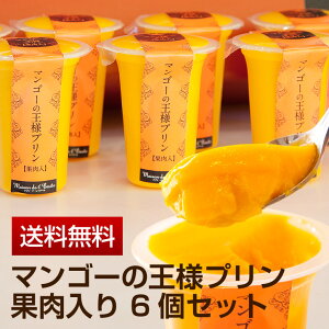 【送料無料】大ベストセラープリン｜マンゴーの王様プリン・果肉入り 6個セット　95ml/1個【お中元】【内祝】【お祝い】