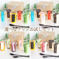 【送料無料】オリジナルプリンのお試しセット