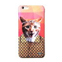 セール MrGUGU MissGO ねこ柄 iphone6splusケース iphone6plusケース プラスチック ハードケース ミスターググアンドミスゴー グランドキャット Grand cat phone case iphone 6plus 6splus 5.5インチサイズ オレンジ 猫 ネコ おしゃれ おもしろい 海外ブランド