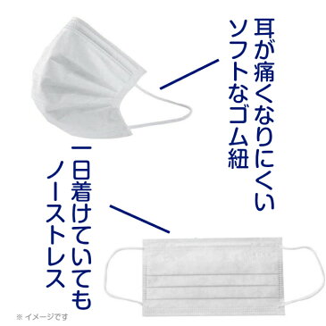 【在庫限り】送料無料 マスク 青白箱 在庫あり 即納 3層 フィルター 不織布マスク 50枚×1箱（ホワイト）170×95mm 白 箱入り 男性 女性 大人 使い捨てマスク サイズ フェイスマスク 保護 風邪 かぜ ほこり 花粉 飛沫感染 予防 花粉対策 大人用 女性用 ウイルス対策