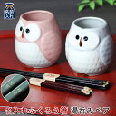 名入れ プレゼント ギフト ふくろう箸 湯呑みペア4点セット | 夫婦箸 箸 お箸 湯呑み 湯呑 湯飲み 夫婦箸 結婚祝い 祖母 祖父 両親 父 母 おしゃれ ...