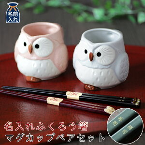 2021 バレンタイン特集 【 送料無料 名入れ プレゼント ギフト 】紅白 ふくろう 箸&マグカップペア4点セット | 夫婦箸 お箸 マグカップ マグ 名入れギフト 夫婦箸 結婚祝い 祖母 祖父 両親 父 母 おしゃれ 還暦祝い 孫 施設 新築祝い 誕生日 和食器 ホワイトデー