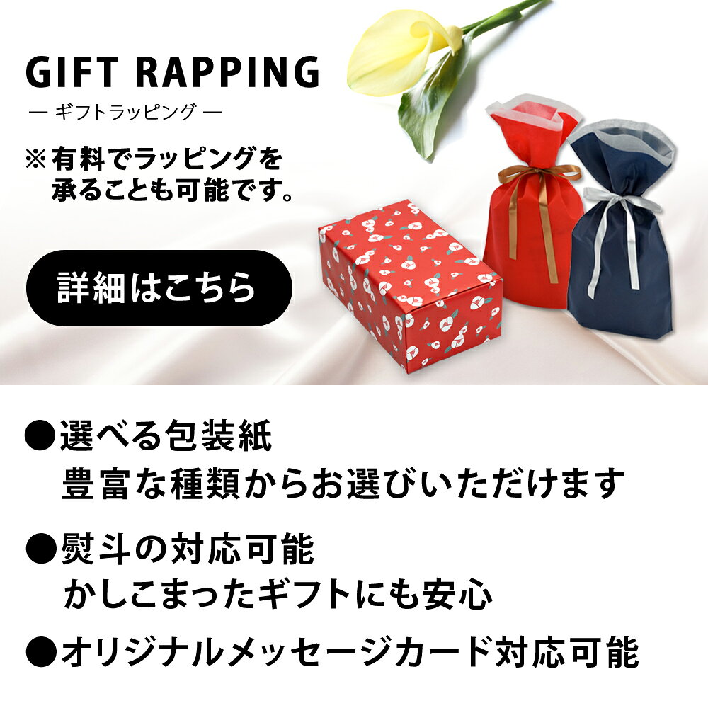 美濃焼 kaikai 宴 5客飯碗揃 日本製 お茶碗 ご飯 和食器 和風 食器 オシャレ モダン レトロ 古風 カラフル ギフト 贈り物 新築 結婚 新築祝い 結婚祝い 出産祝い 御祝 新生活 プレゼント　取り皿 おしゃれ お皿 皿 食器 セット 陶器 セラミック藍