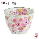 【&藍】 美濃焼 ブランド 華甘露煎茶 ギフト 贈り物 新築祝い 結婚祝い 出産祝い 内祝い 御祝 新生活 誕生日 プレゼント