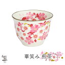 美濃焼【&藍】ブランド華笑み煎茶 ギフト 贈り物 新築祝い 結婚祝い 出産祝い 内祝い 御祝 新生活 誕生日 プレゼント