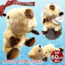 【ギフトラッピング承り中!】 水辺のほっこり 大きい ぬいぐるみ カピたん 抱き枕 62cm | カピバラ 特大 かわいい ビッグ 送料無料 プレゼント おもち...