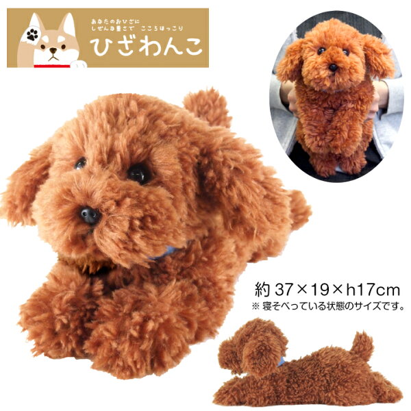 ひざわんこ みんな探してる人気モノ ひざわんこ スポーツ アウトドア ひざわんこ みんな探してる人気モノ ひざわんこ スポーツ アウトドア