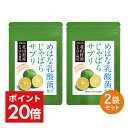 期間限定＼最大1,500円OFFクーポン＆P20倍／ じゃばら サプリ 2袋セット 60日分 北山村産 めはな乳酸菌 200億個 | 北山村 じゃばらサプリ 黒じゃばら ナリルチン 乳酸菌 乳酸菌サプリ じゃばらサプリメント サプリメント 送料無料 RL